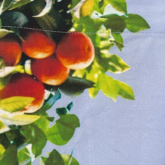 Maeve By Anthropologie Dress Size 4 Midi Blue With Oranges Print - Picture 3 of 13